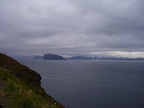 comp_P3210261.jpg